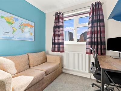 Picture 7